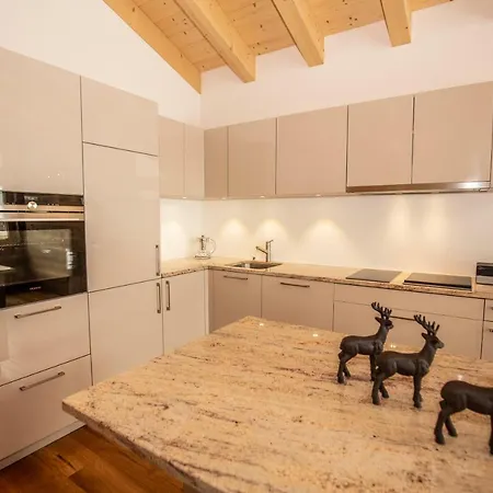 Apartment Palace Luxury Wellness And Boutique Ski-in-out Saas-Fee